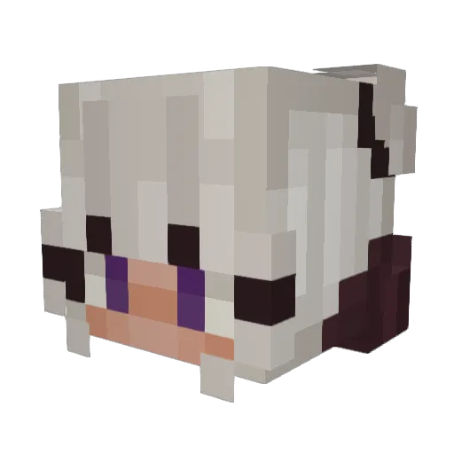 Crowest_ Minecraft avatar head, 3D render