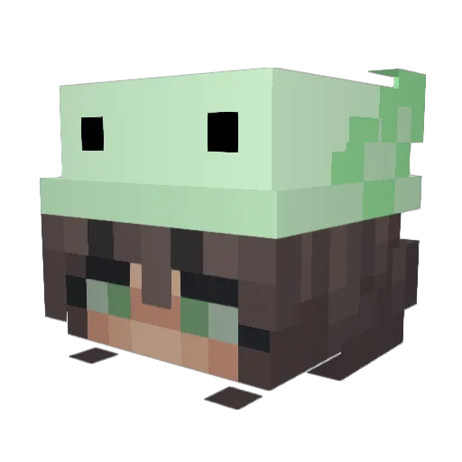 Crowie23 Minecraft avatar head, 3D render