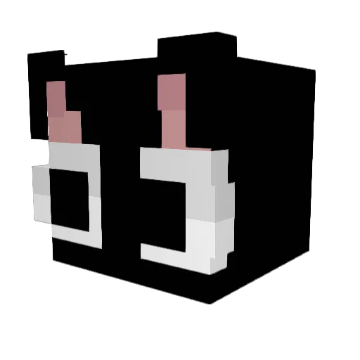 Crowk_ Minecraft avatar head, 3D render