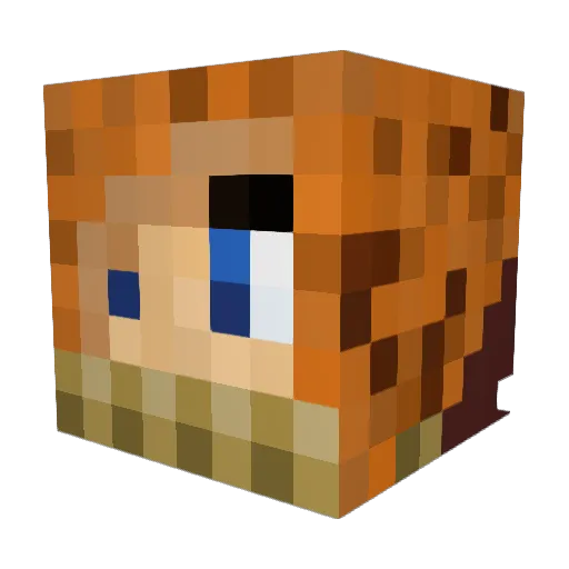 Crowlded Minecraft avatar head, 3D render