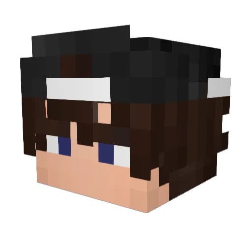 Crowlezz Minecraft avatar head, 3D render