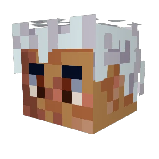Crowli_crower Minecraft avatar head, 3D render