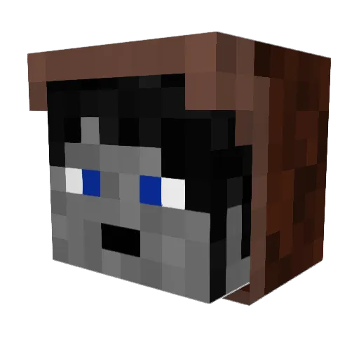 Crowlliot Minecraft avatar head, 3D render