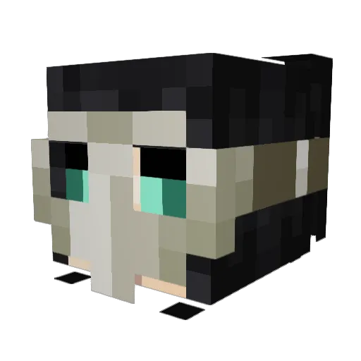 Crowlover Minecraft avatar head, 3D render