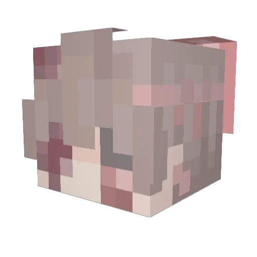 CrownCorvid Minecraft avatar head, 3D render