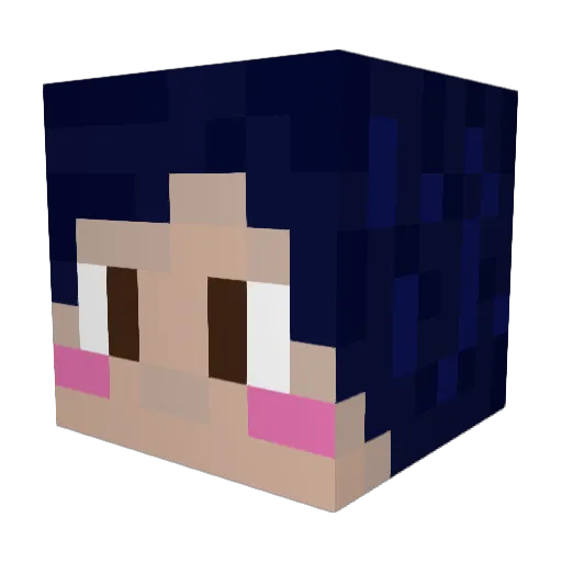 Crowned_Cat Minecraft avatar head, 3D render