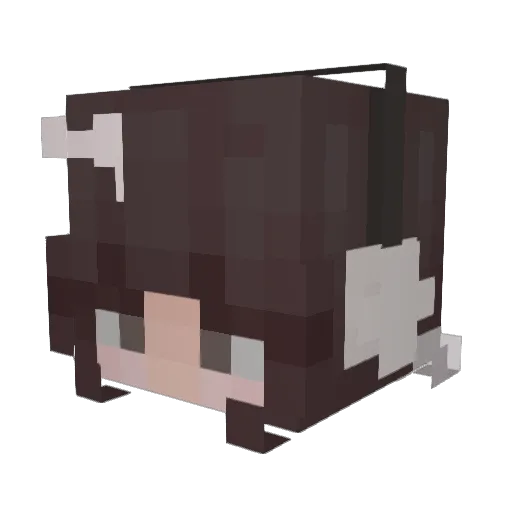 Crowned_LLAMAS Minecraft avatar head, 3D render