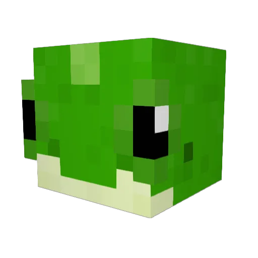 CrowsCorpse Minecraft avatar head, 3D render
