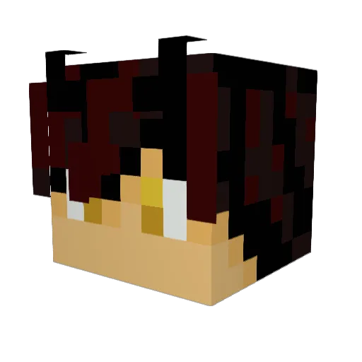 CrowsMurder Minecraft avatar head, 3D render
