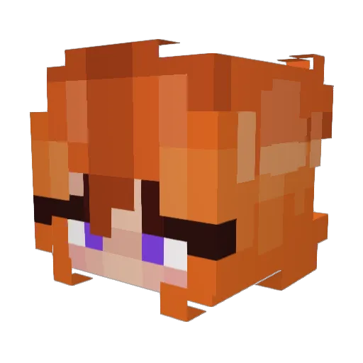 Crowvidkitty Minecraft avatar head, 3D render