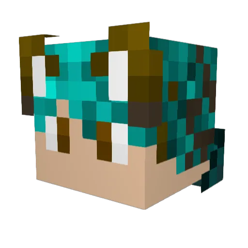 Crozz_ Minecraft avatar head, 3D render