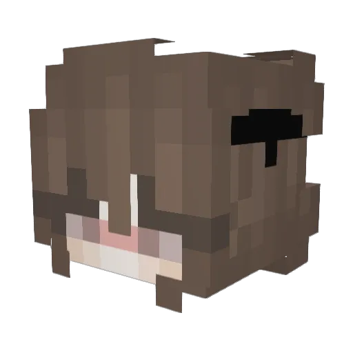 Crqnchy Minecraft avatar head, 3D render