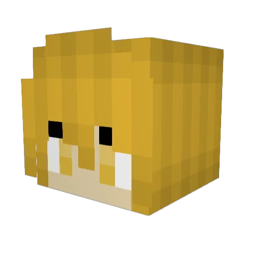 Crucii_ Minecraft avatar head, 3D render