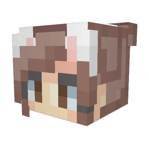 CruelJadrix Minecraft avatar head, 3D render