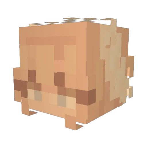 Cruie Minecraft avatar head, 3D render