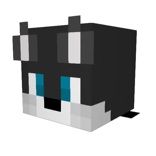 CruiserIH Minecraft avatar head, 3D render