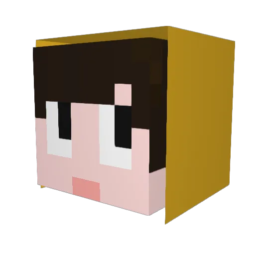 CrumbSandwich Minecraft avatar head, 3D render