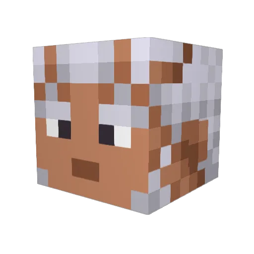Crums098 Minecraft avatar head, 3D render