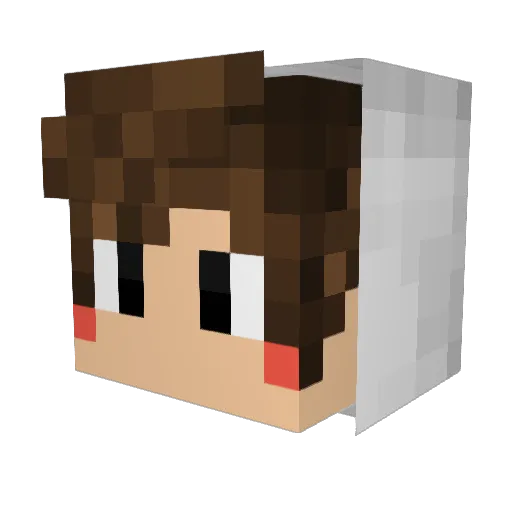 Crunch1590 Minecraft avatar head, 3D render