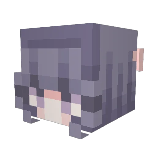 Crunchaea Minecraft avatar head, 3D render