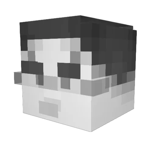Crunchbar1234 Minecraft avatar head, 3D render