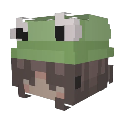 CrunchyBiscu1t Minecraft avatar head, 3D render
