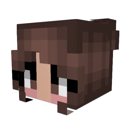 CrunchyEconomics Minecraft avatar head, 3D render