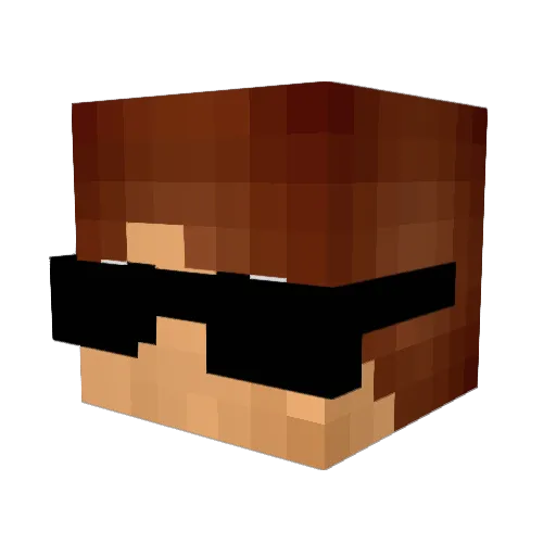 CrunchyNapkin96 Minecraft avatar head, 3D render