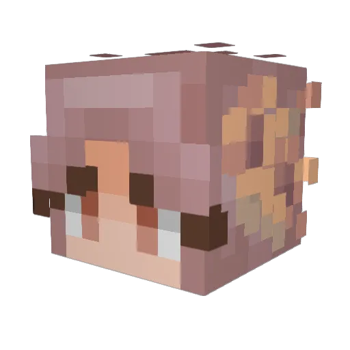 CrunchyNugget1 Minecraft avatar head, 3D render