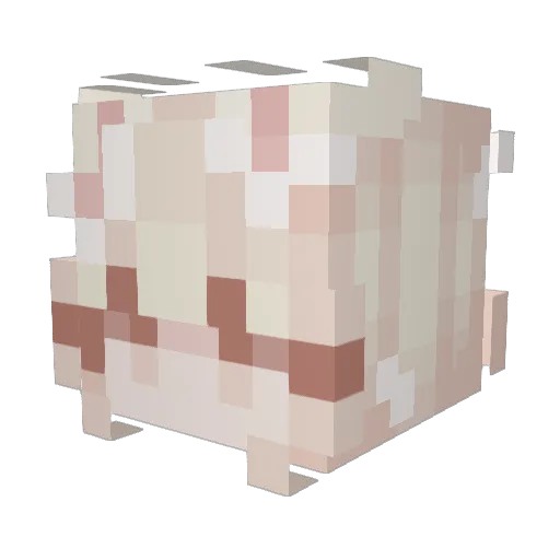 Crunchypie11 Minecraft avatar head, 3D render
