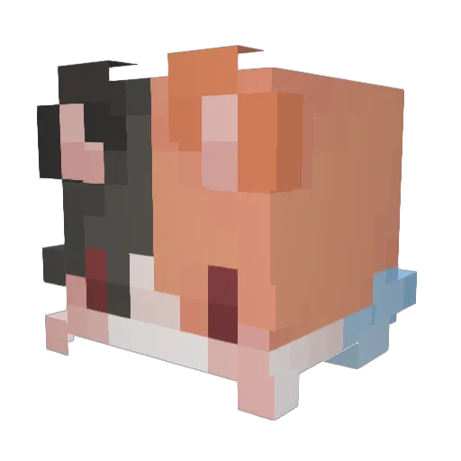 Crunchytoes69420 Minecraft avatar head, 3D render