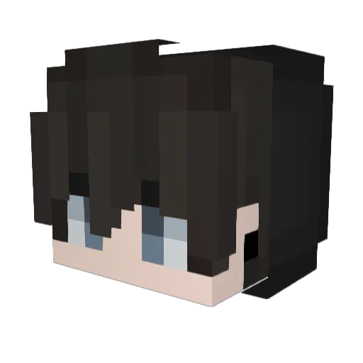 Crupice Minecraft avatar head, 3D render