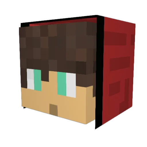 Crus_T_ Minecraft avatar head, 3D render