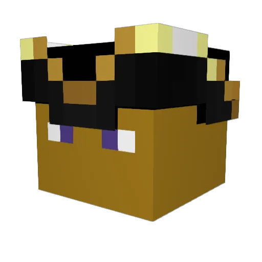 Crusader12345 Minecraft avatar head, 3D render