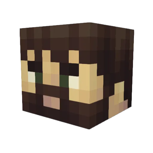 Crusader195 Minecraft avatar head, 3D render