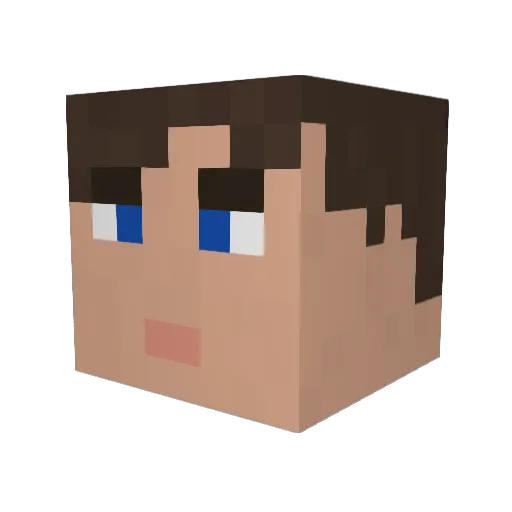 Crusader252 Minecraft avatar head, 3D render