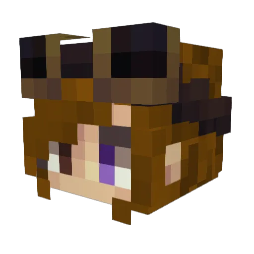 CrusaderGrl22 Minecraft avatar head, 3D render