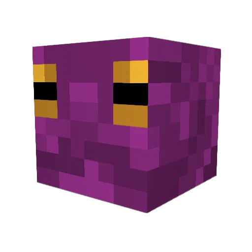 CrusaderKyle Minecraft avatar head, 3D render