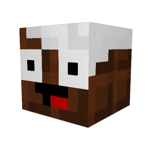 CrushMango_ Minecraft avatar head, 3D render
