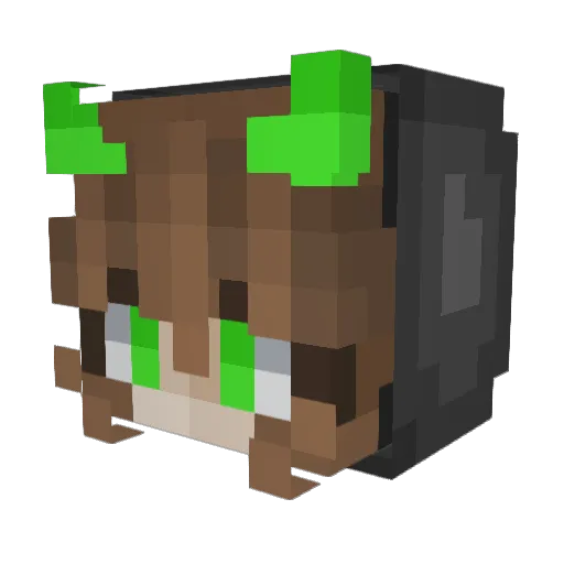 Crushenmore Minecraft avatar head, 3D render