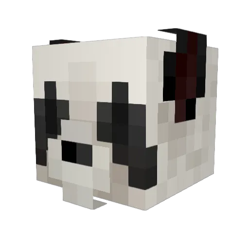 Crusher_fromhere Minecraft avatar head, 3D render