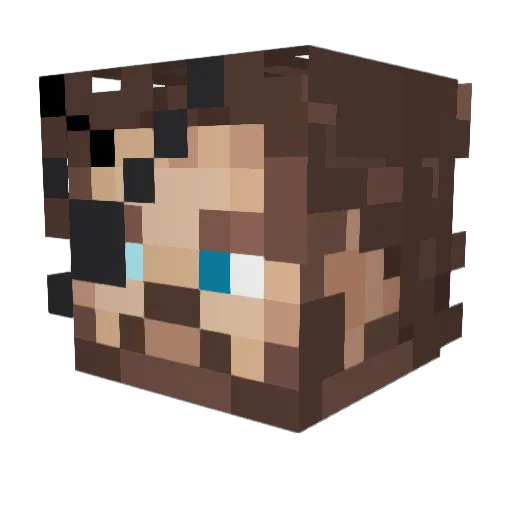 Crusher_kun Minecraft avatar head, 3D render