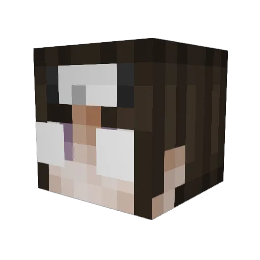 Crushtice Minecraft avatar head, 3D render