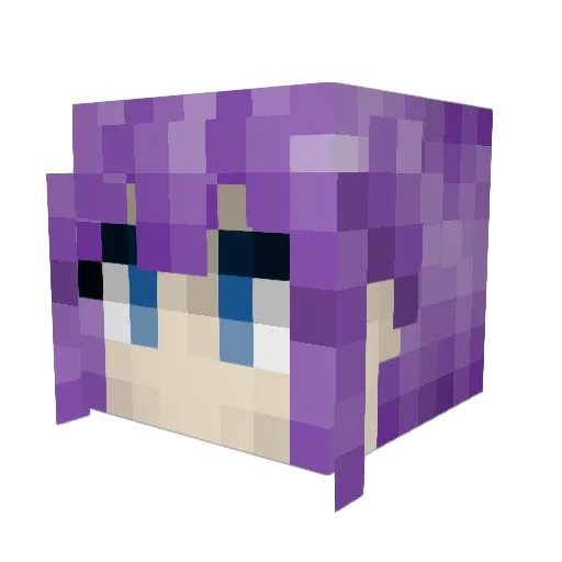 Crustgyn Minecraft avatar head, 3D render