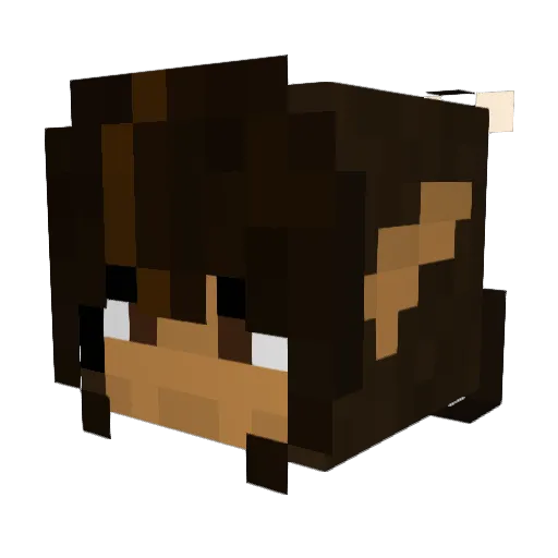 Crusty8428 Minecraft avatar head, 3D render