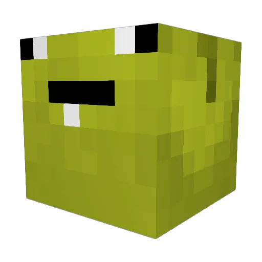 CrustyToes767 Minecraft avatar head, 3D render