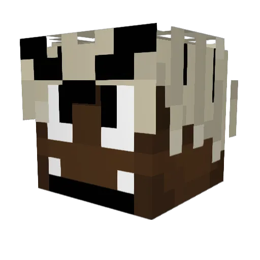 CrustyTowel2 Minecraft avatar head, 3D render