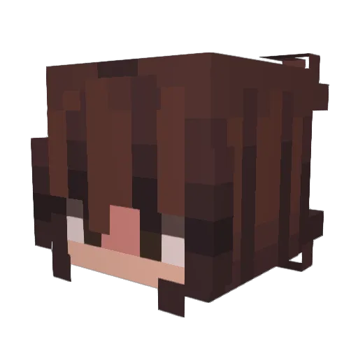 Crusty_Alpaca Minecraft avatar head, 3D render