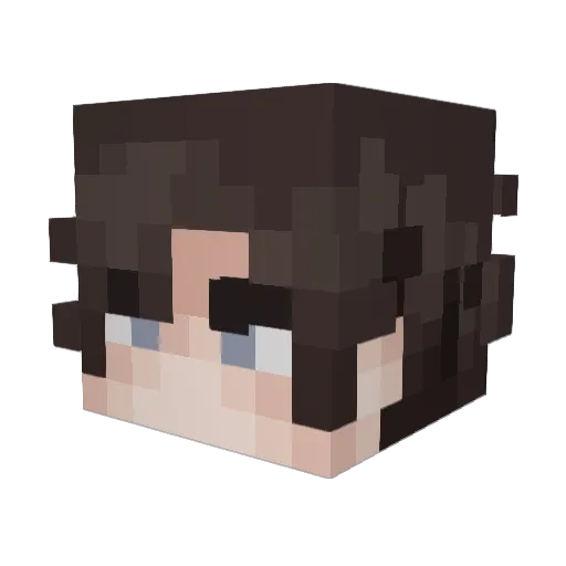 Cruxforged Minecraft avatar head, 3D render