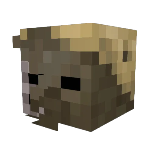 Cruz_28 Minecraft avatar head, 3D render